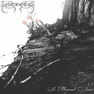 Nelecc : A Thousand Suns